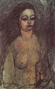 Amedeo Modigliani Jeune fille nue (mk38) china oil painting artist
